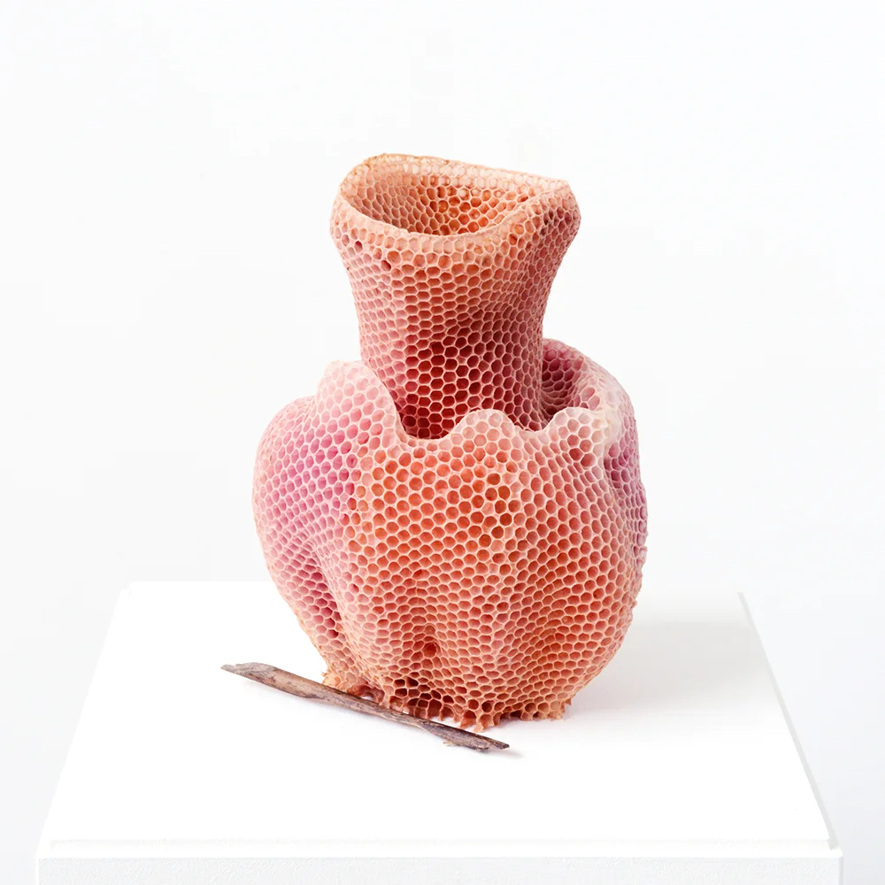 Libertiny_The_Honeycomb_Vase_No5_sqr.jpg