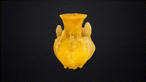 The_Honeycomb_Vase_Floating.gif