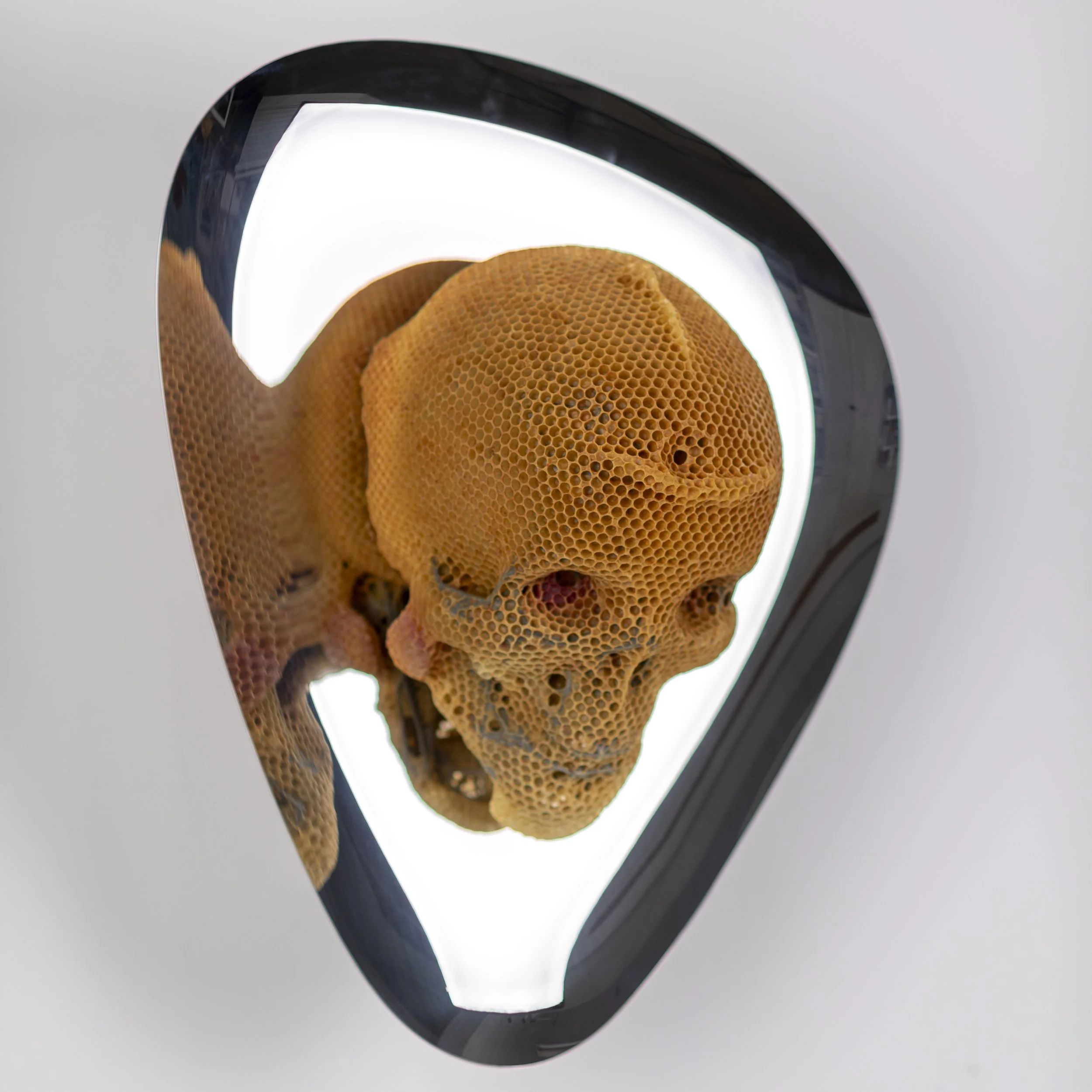 Memento Vivere _ Here You Are 01.JPG