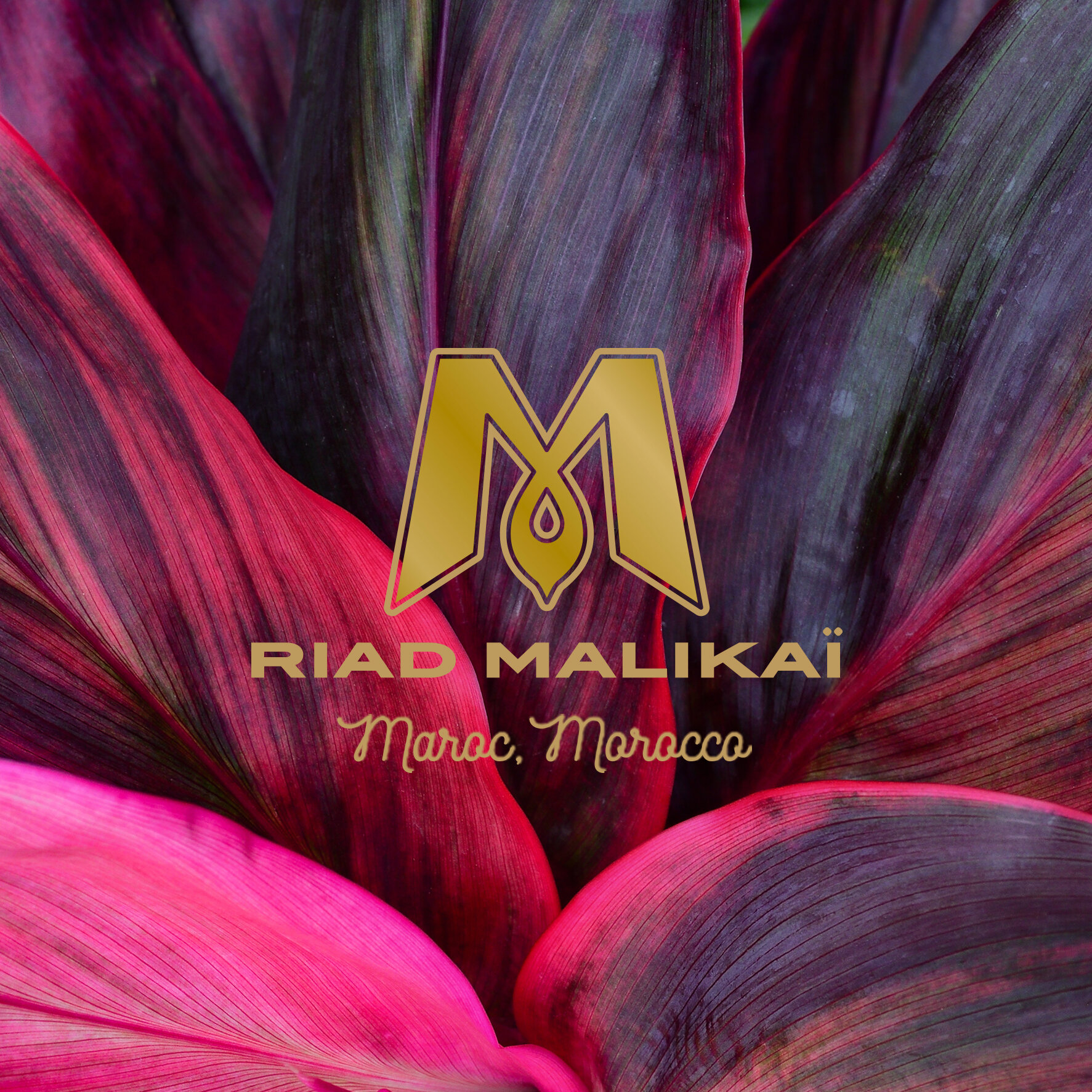 Riad Malikai