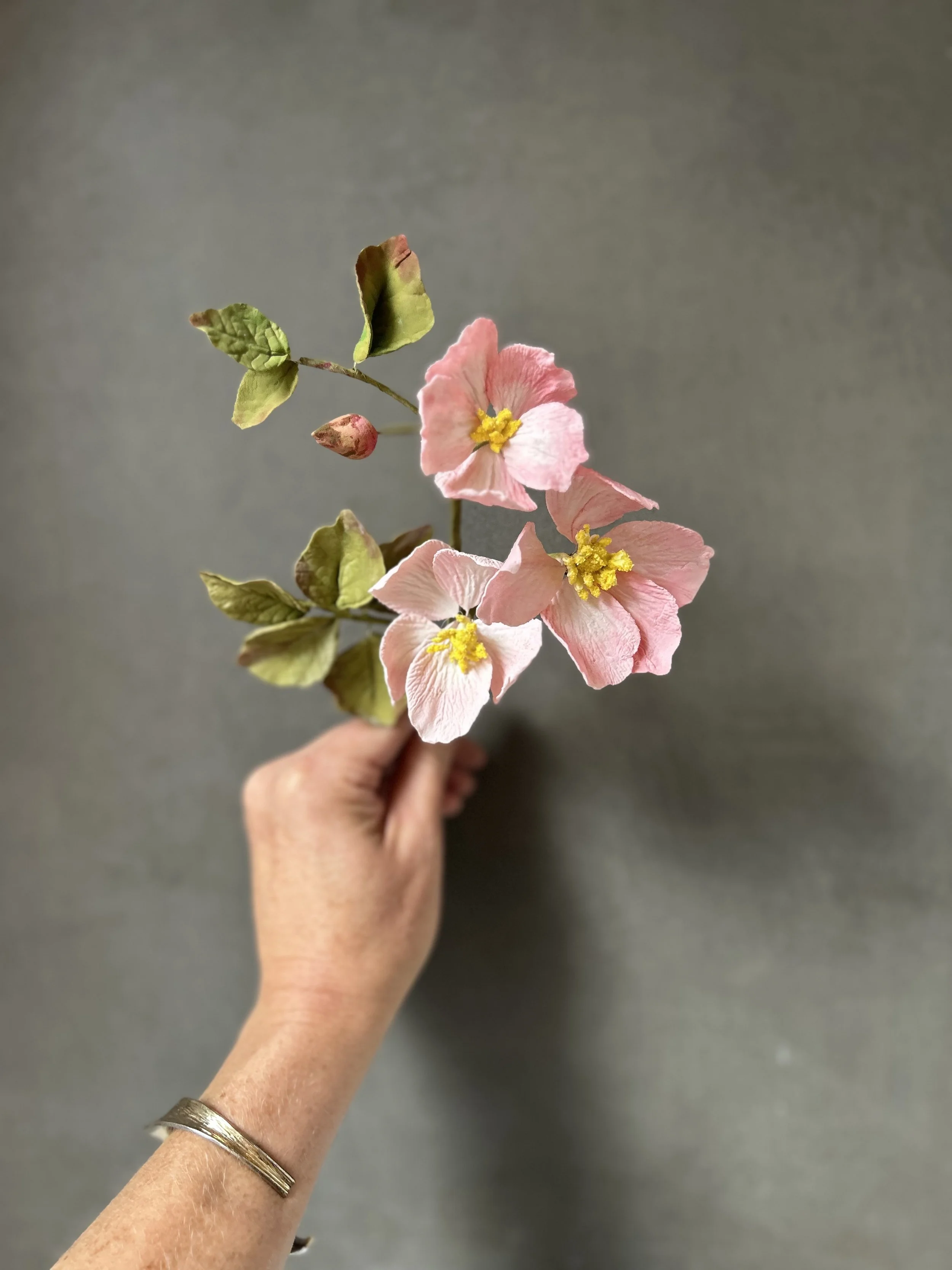 Hand holding a small bouquet of pink flowers with yellow centers and green leaves against a gray background.