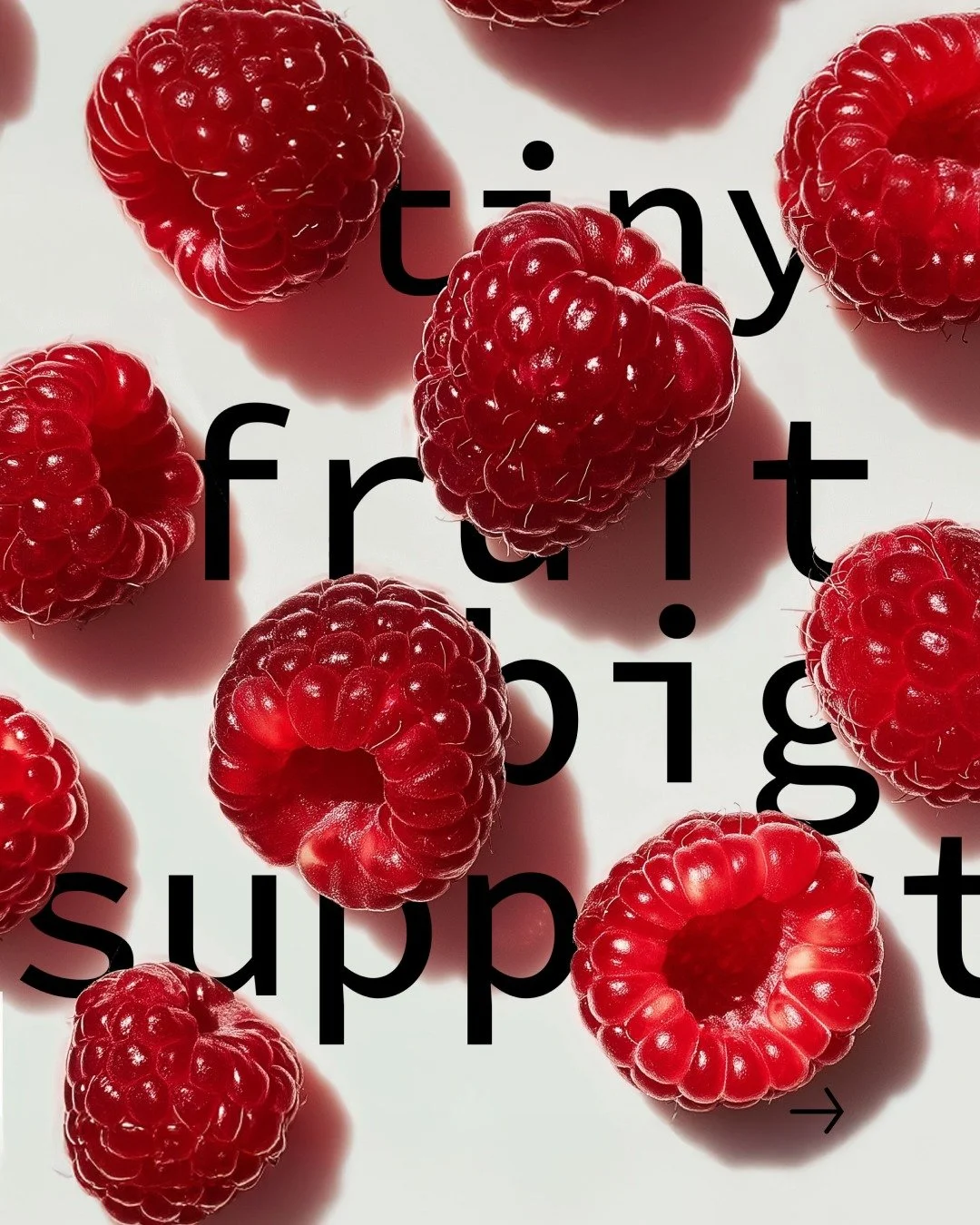 A sweet little snack with big heart benefits. No, berries won&rsquo;t fix AFib, but it&rsquo;s one small way to show your heart some love. 

Afib af now streaming on Spotify.
.
.
.
.
.
#afib #atrialfibrillation #hearthealth #heart #healthyfoods #grap