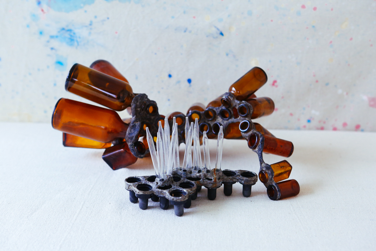 nov15_bottlebracketfungidroppercoralbotanical-2.jpg
