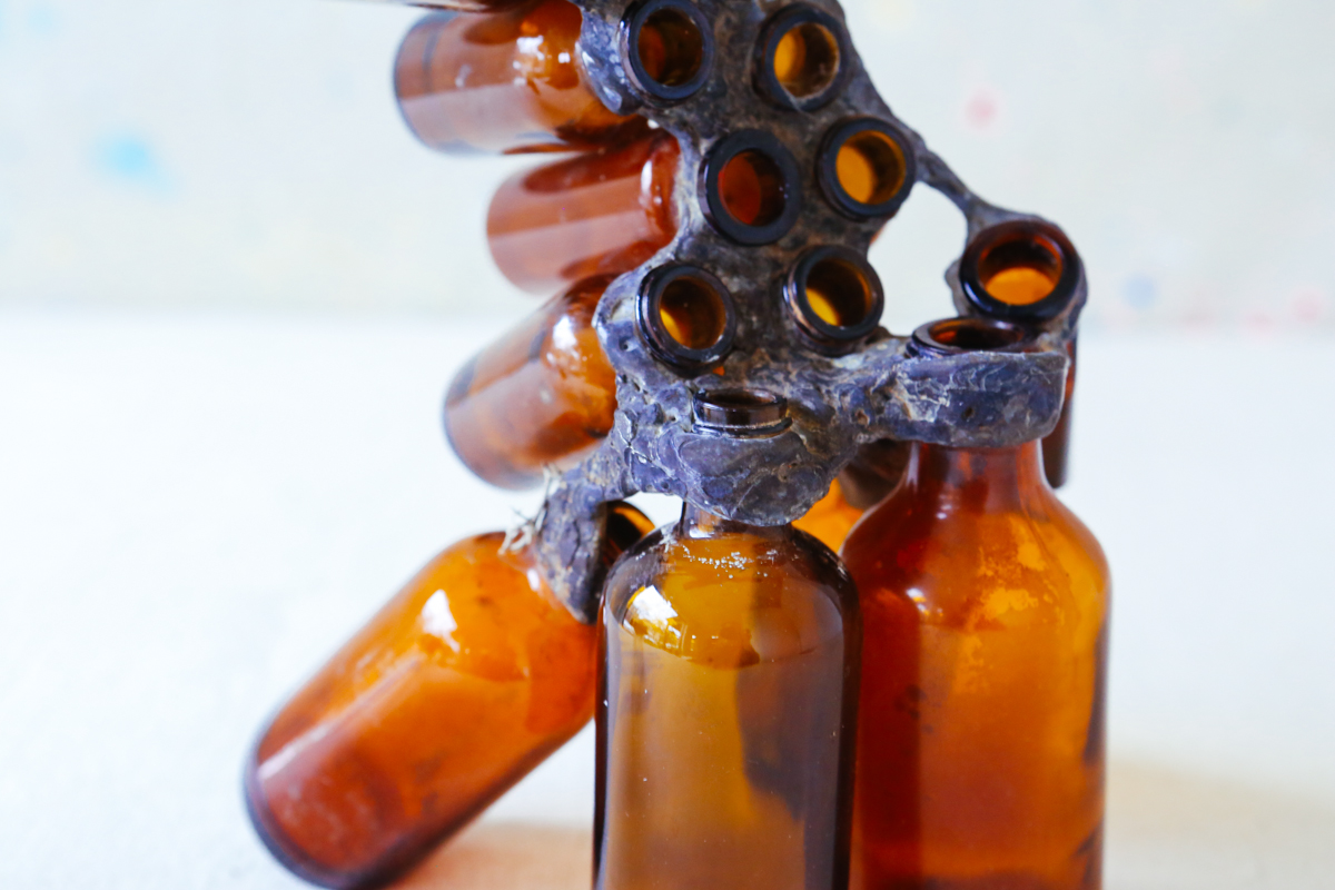 nov15_bottlebracketfungidroppercoralbotanical-10.jpg