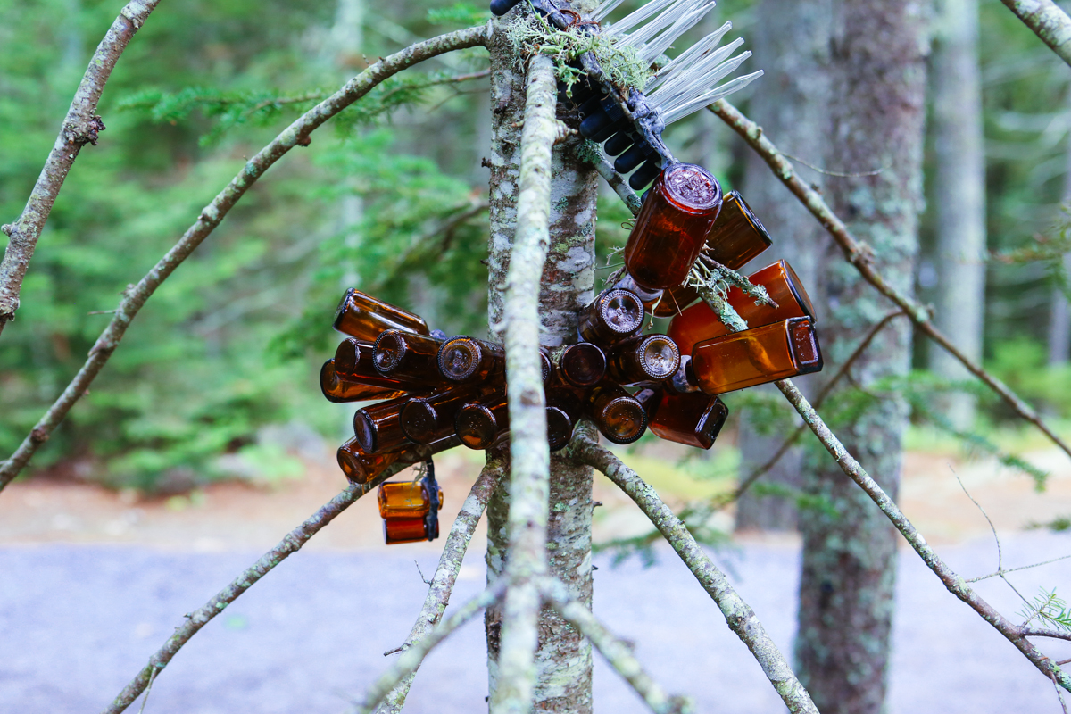 nov15_bottlesbotanicallocation-2.jpg