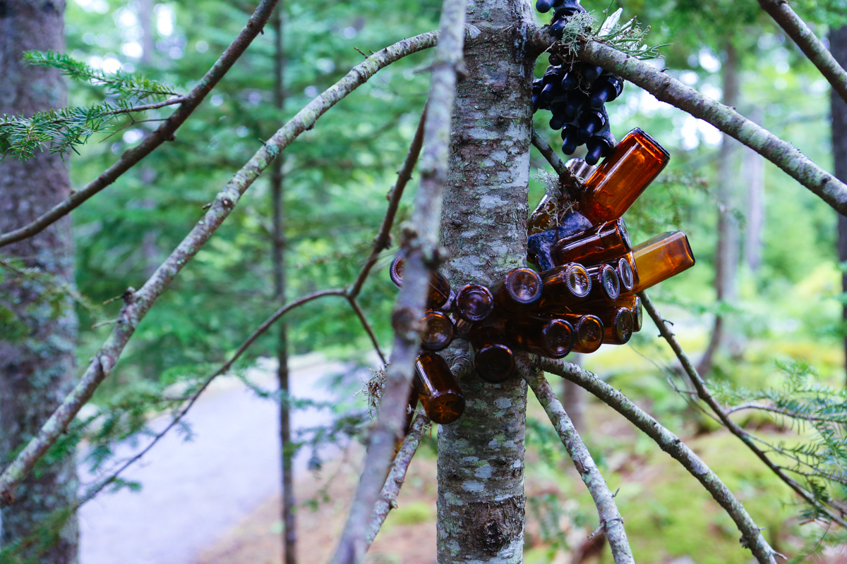 nov15_bottlesbotanicallocation-3.jpg