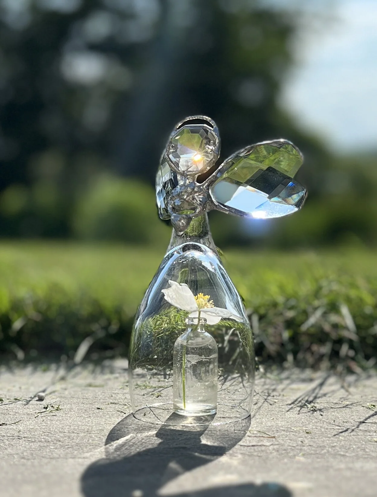 CA50151C-23B1-4FA6-BEF8-252EF4E7838F