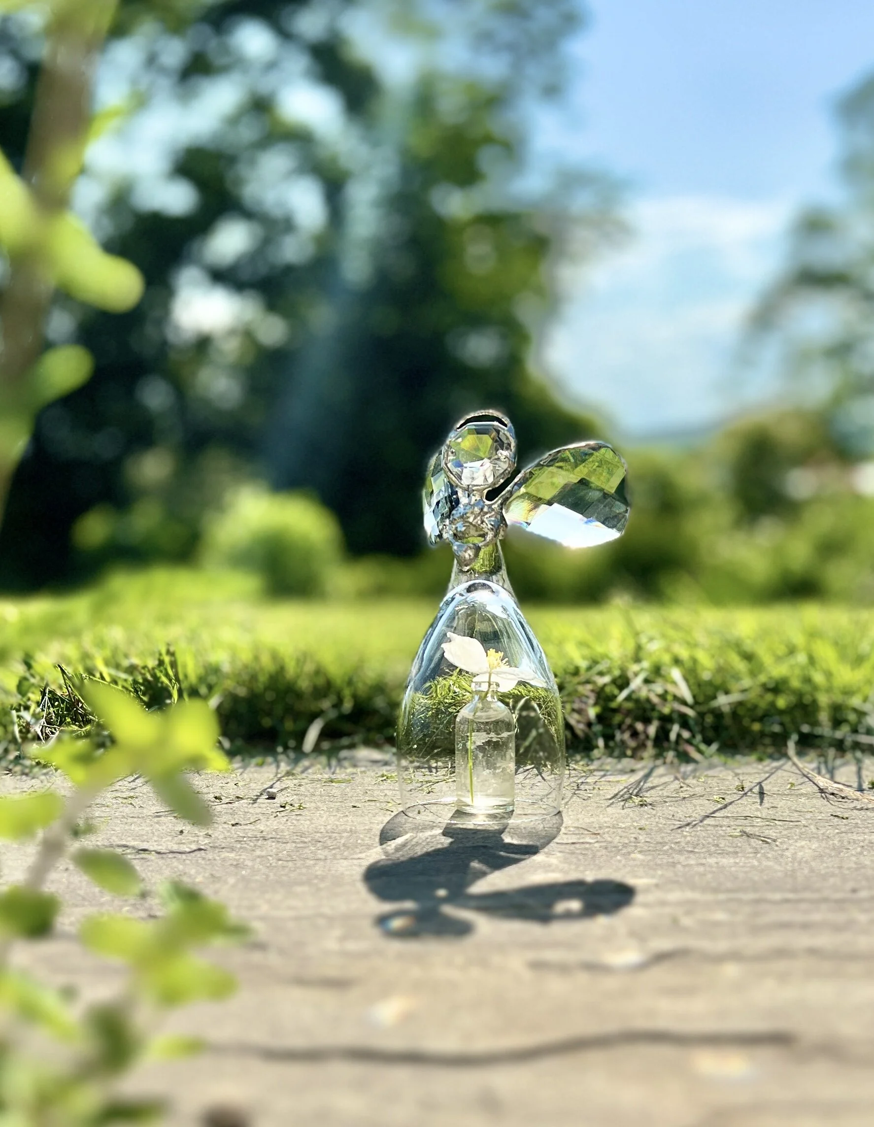 5B6FEBA4-3BAE-4F20-8AED-B4CC95C615ED