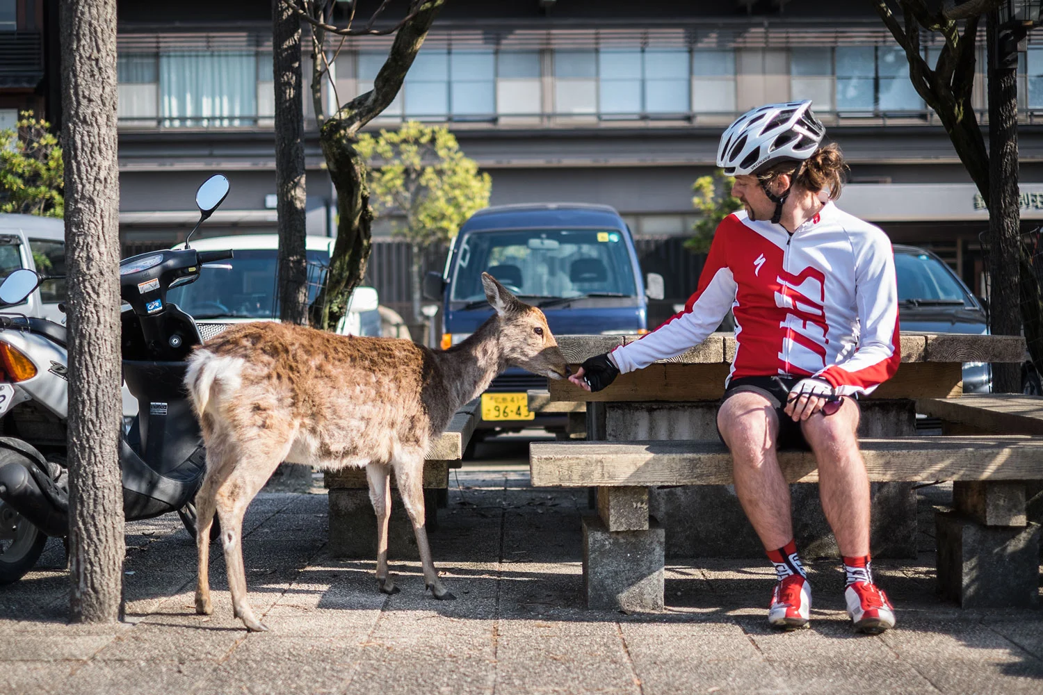Sio and our favorite deer, Zuppos