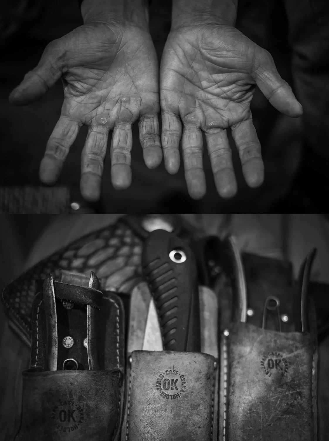 Soya's favorite work tools! 