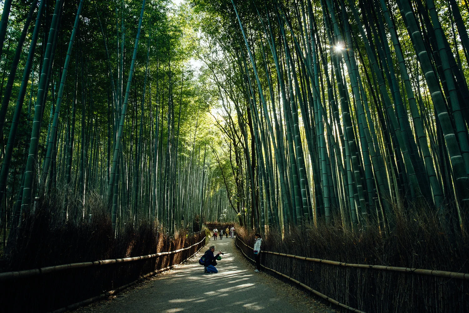 Arashiyama