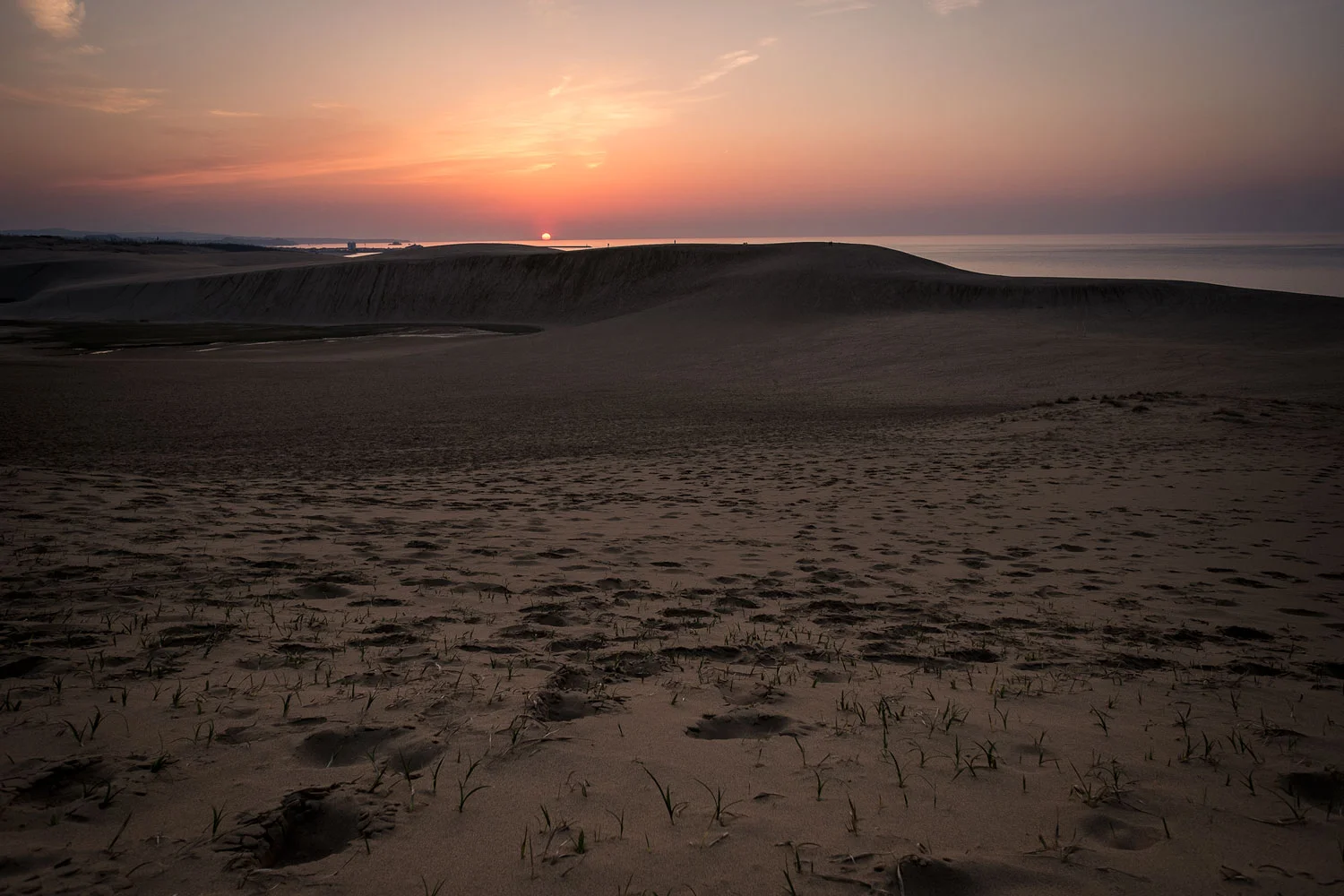 _DSF6862.jpg