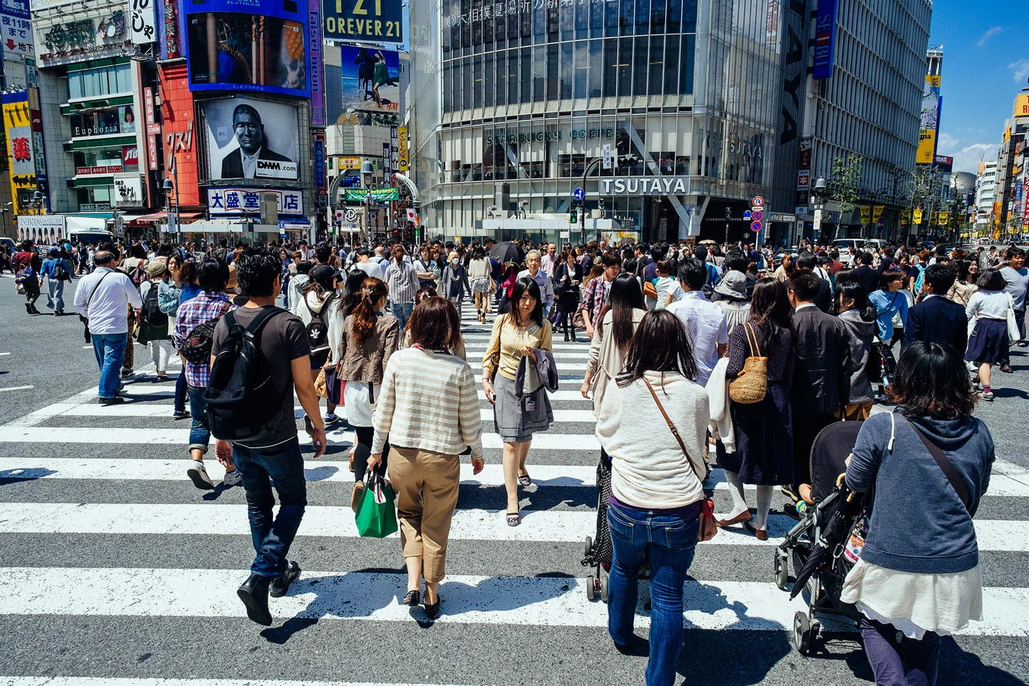 _S068141.jpg