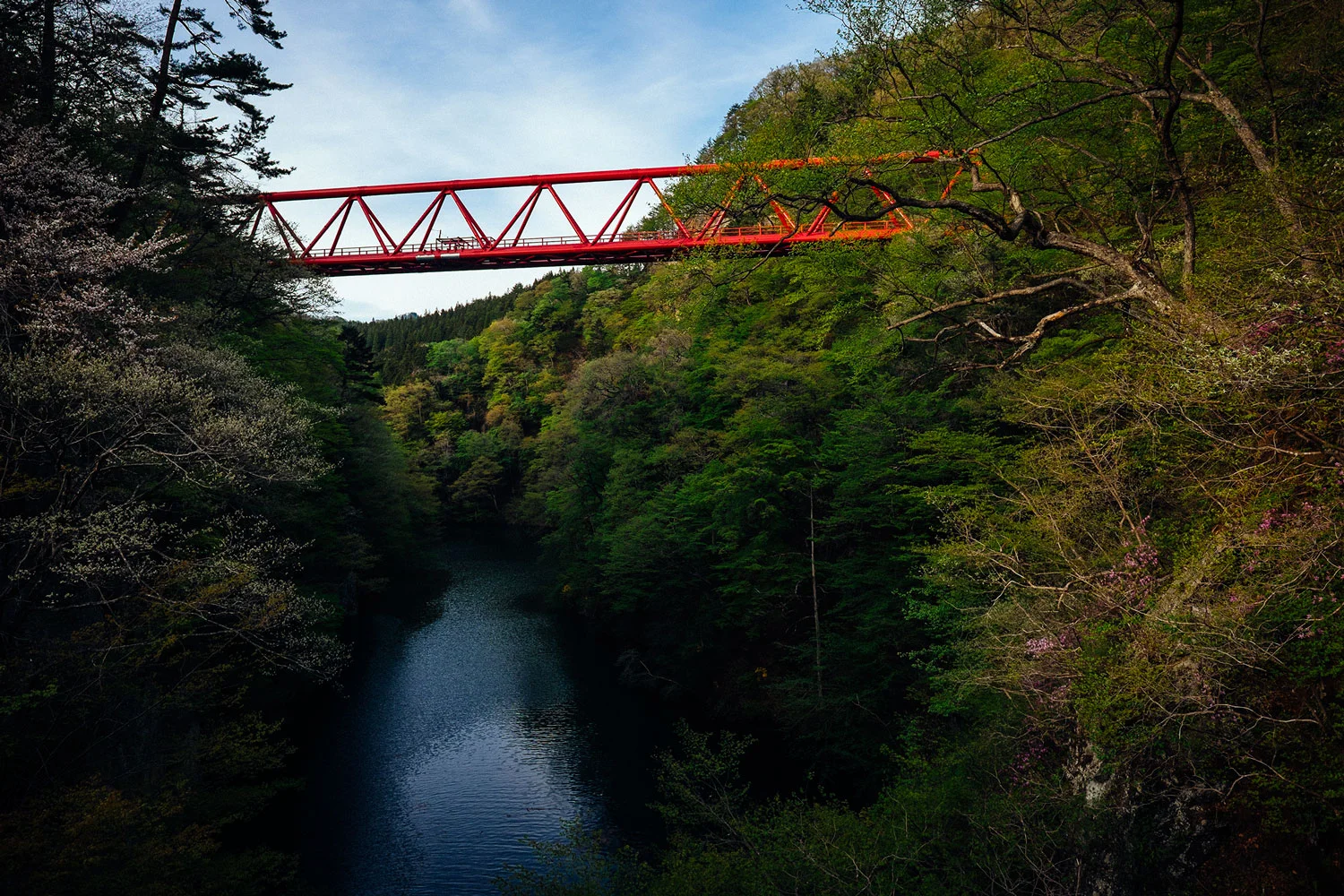 Il ponte da cui ci siamo lanciati. 