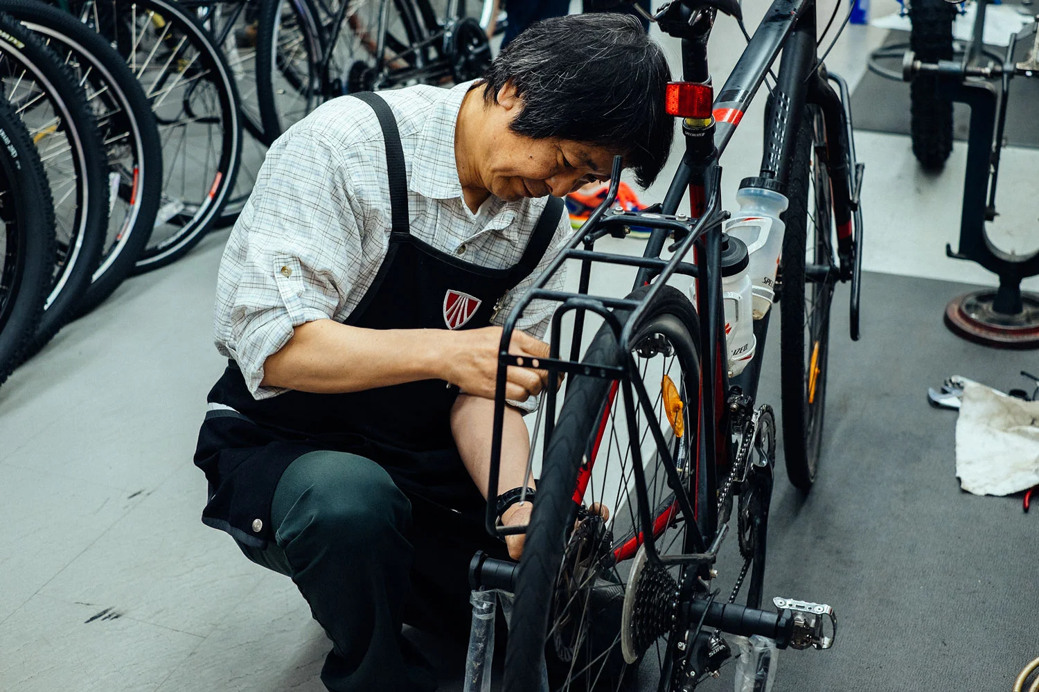 Le nostre Tricross sotto i ferri presso Ono Cycle Sapporo