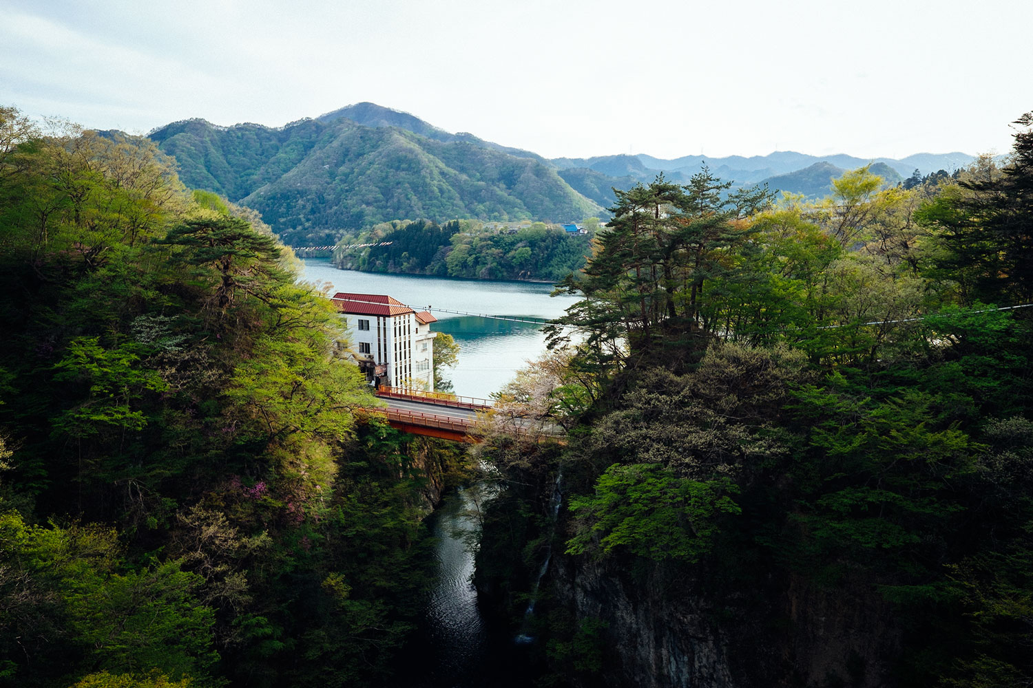 The view from the bridge before jumping. 