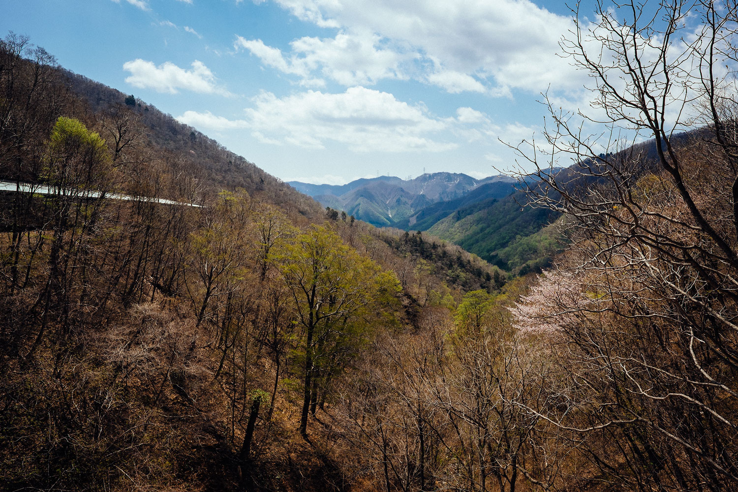 Niigata's mountains. 