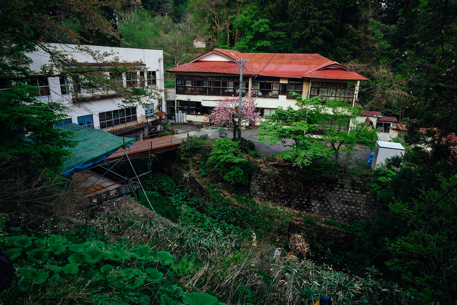 The last one of a LONG streak of abandoned hot springs