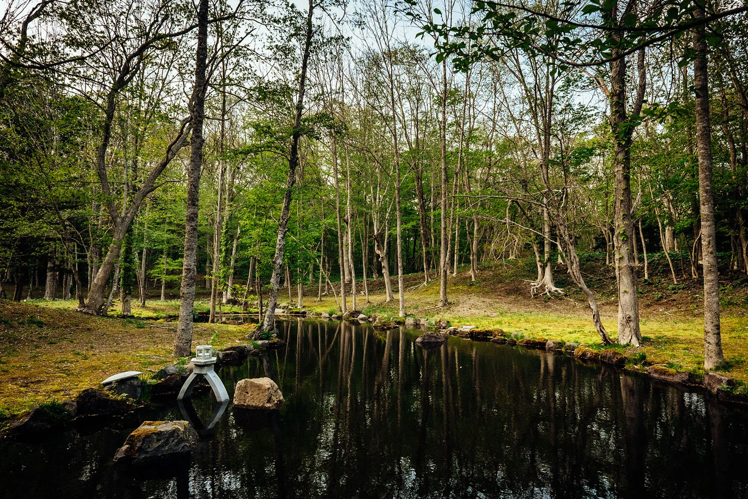 A tiny lake along the road. 