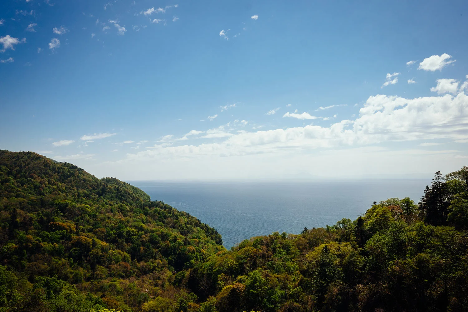 The coast