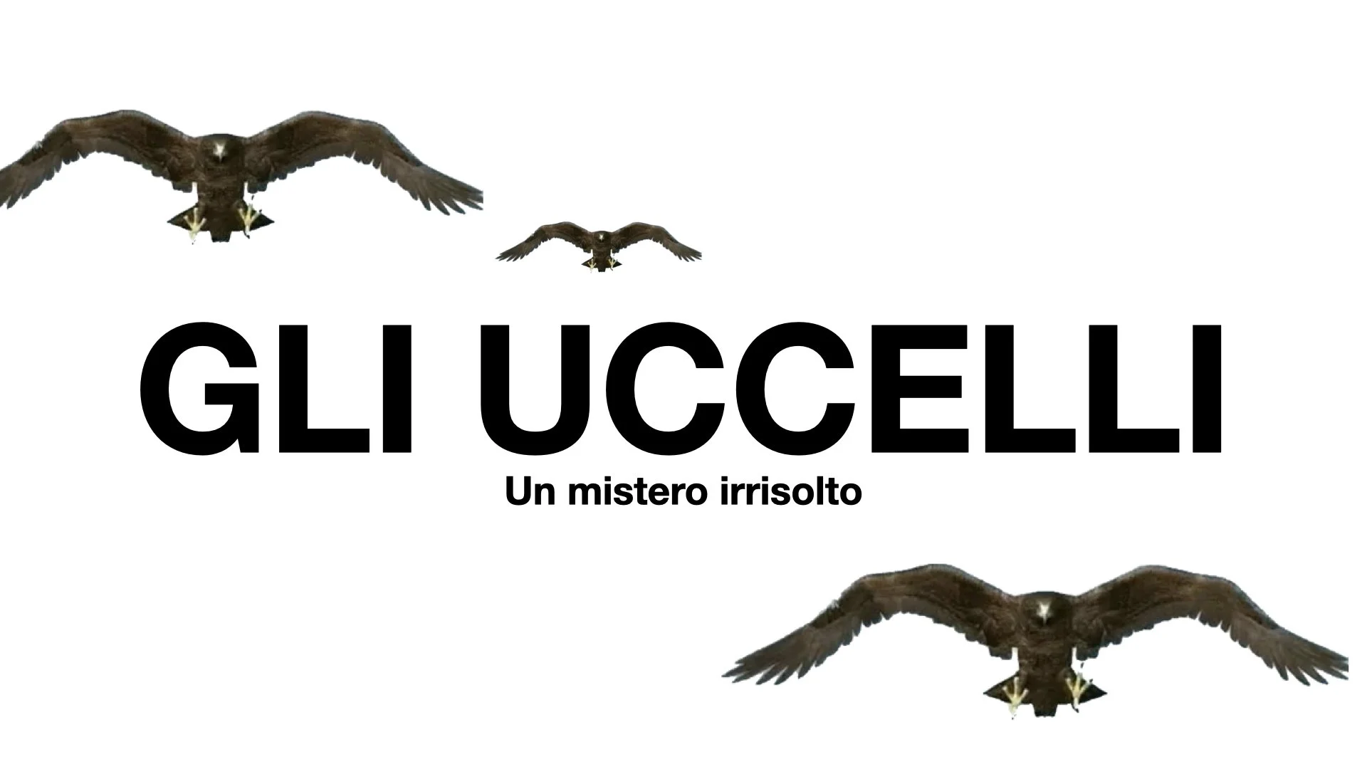 PPP 2025 Perònon Potevaessere Peggio.040.jpeg