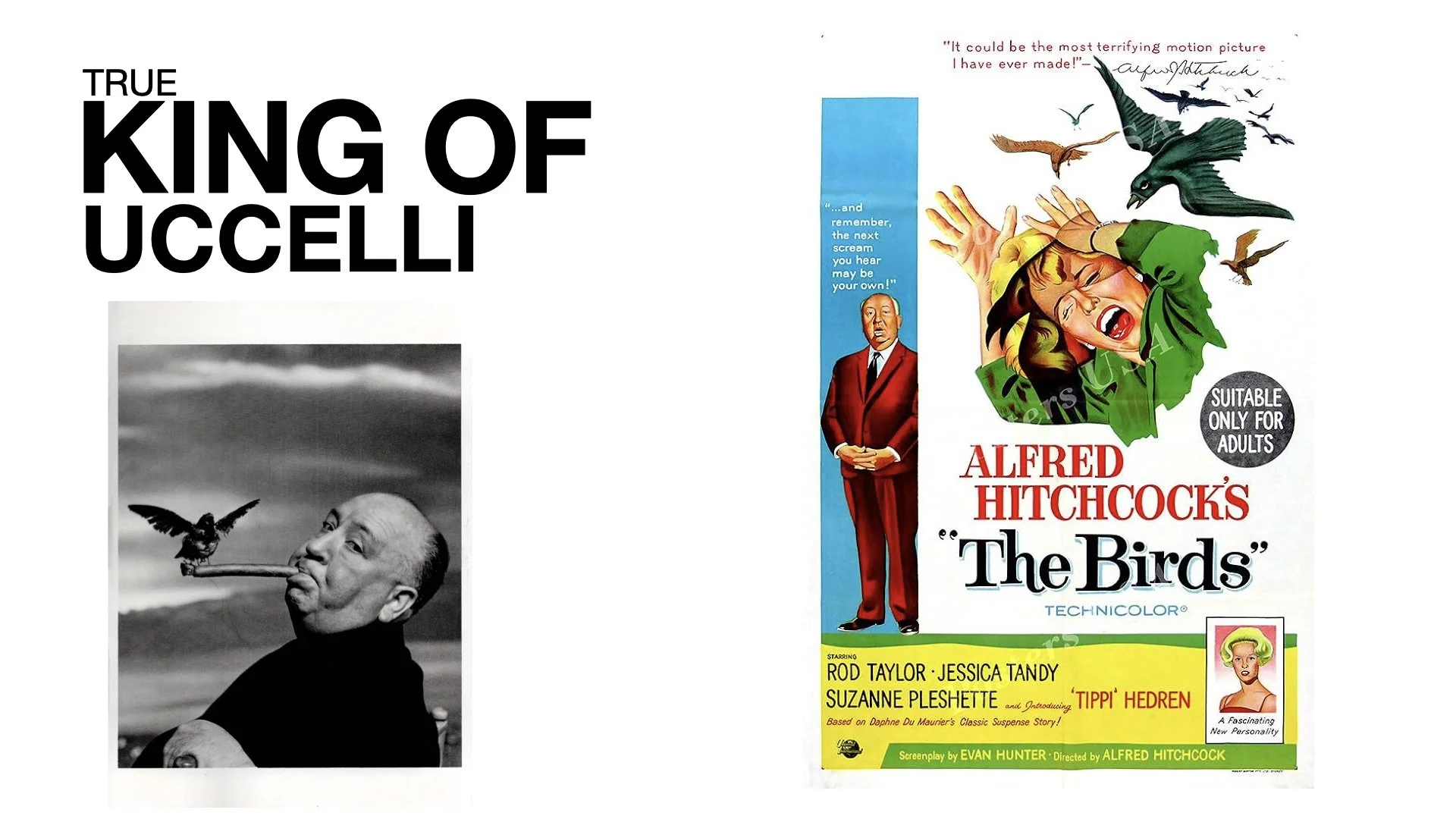 PPP 2025 Perònon Potevaessere Peggio.043.jpeg