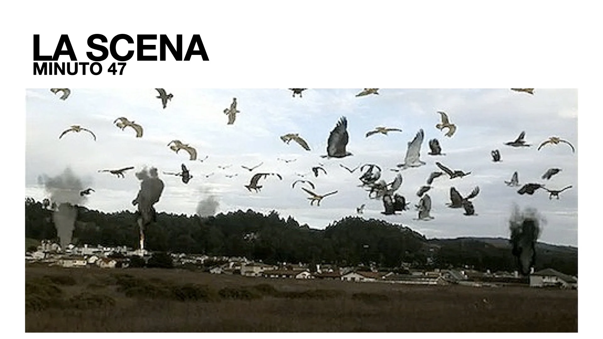 PPP 2025 Perònon Potevaessere Peggio.048.jpeg