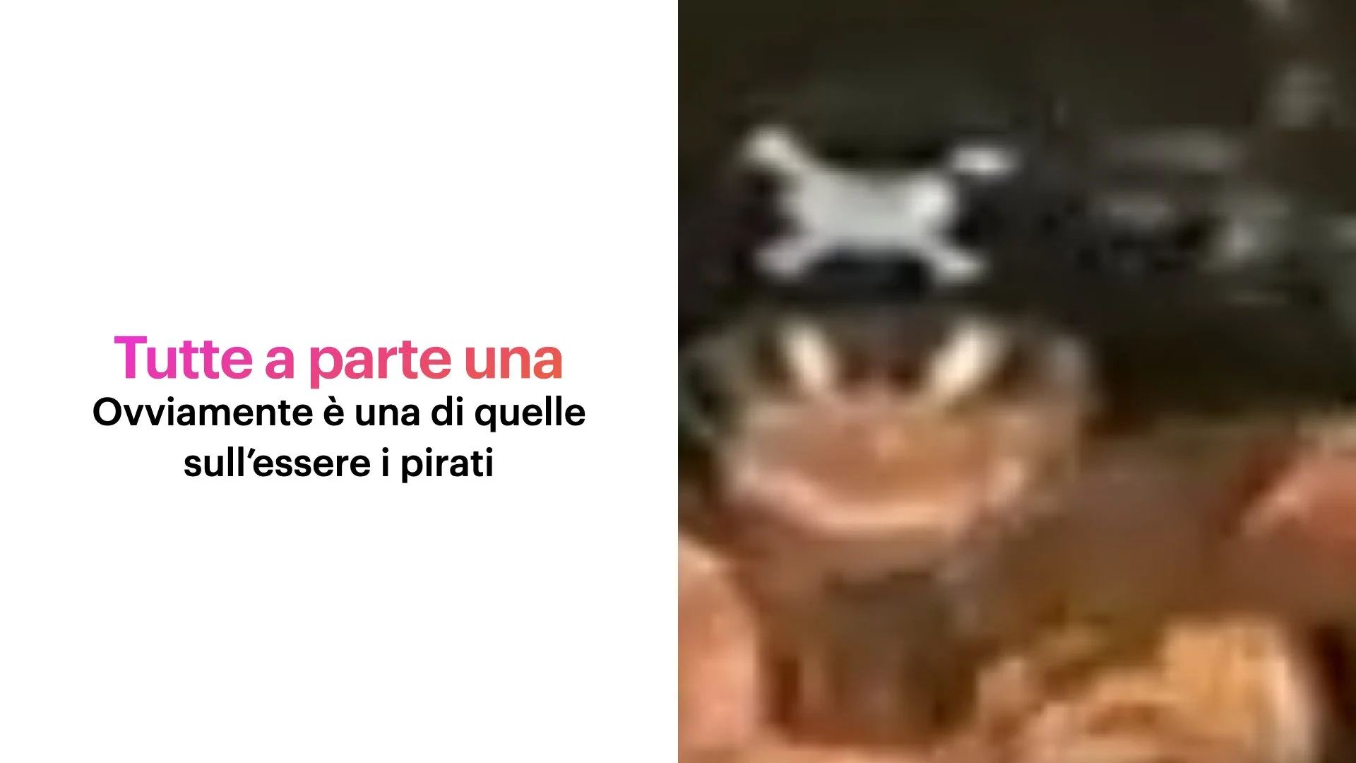 PPP 2025 Perònon Potevaessere Peggio.160.jpeg