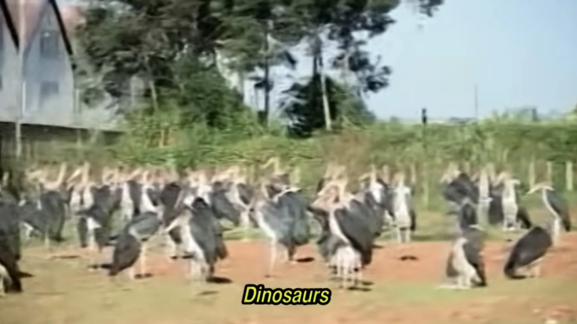 PPP 2026 Padova.017.jpeg