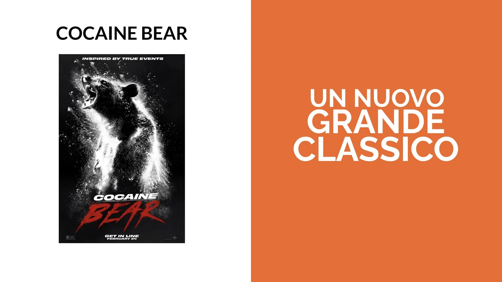 PPP 2026 Padova.055.jpeg