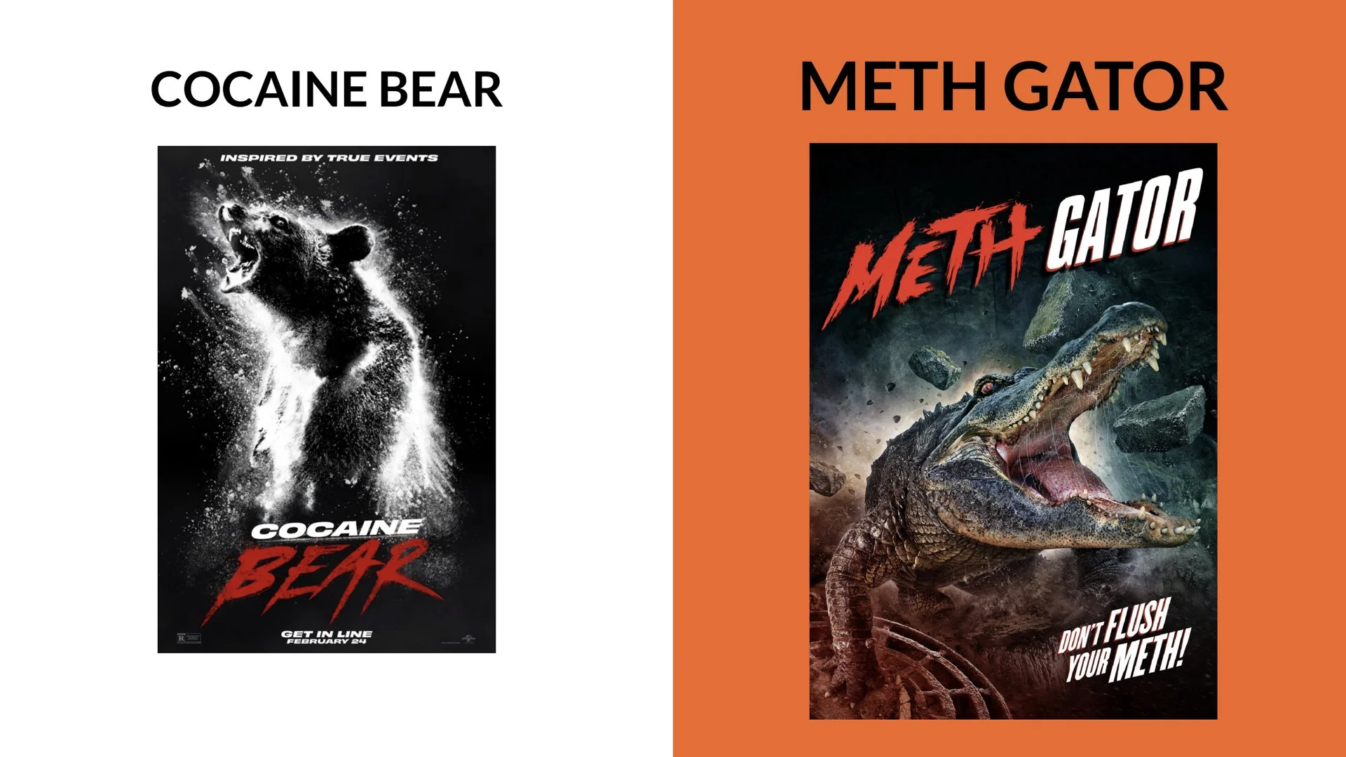 PPP 2026 Padova.056.jpeg