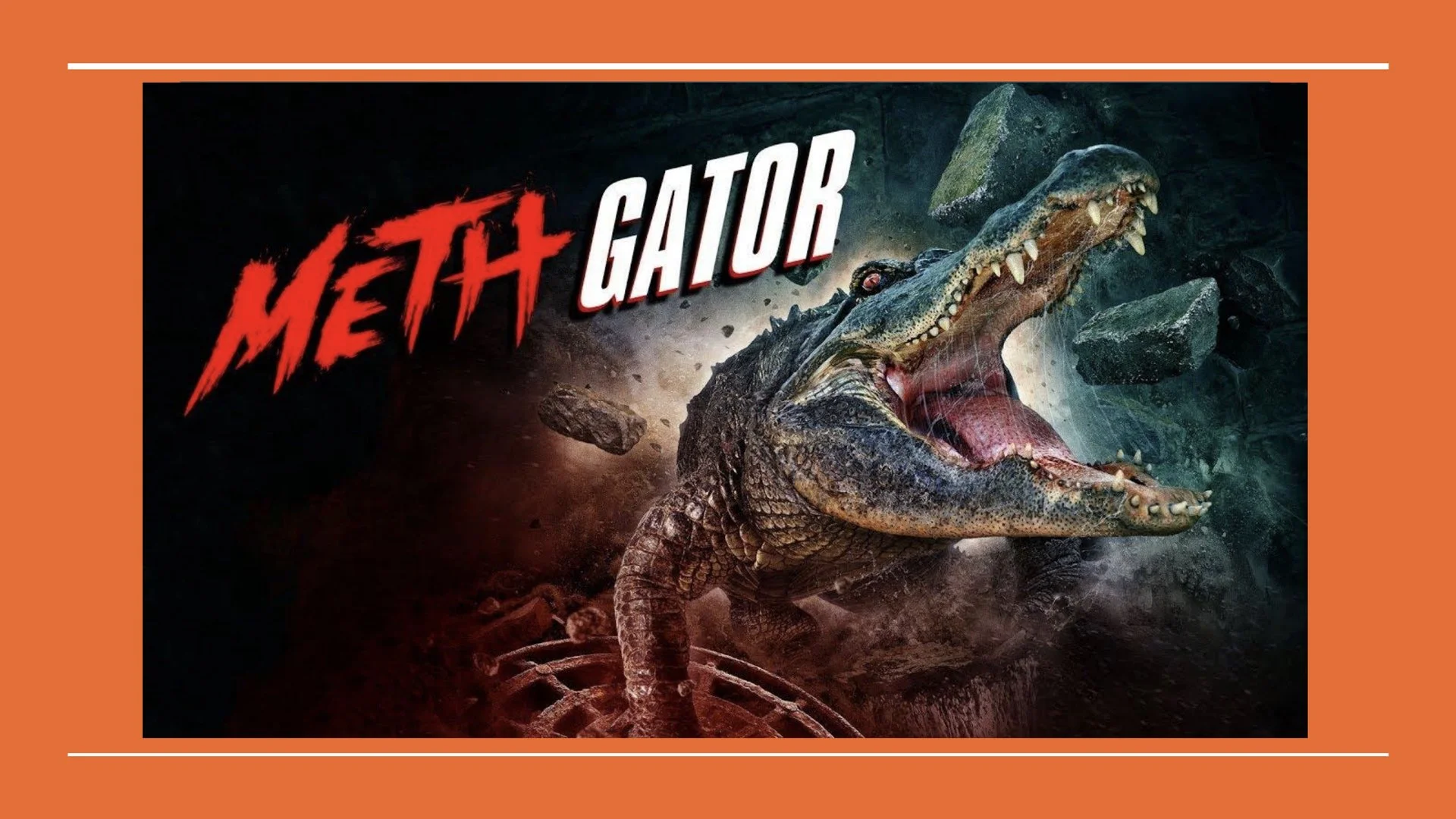 PPP 2026 Padova.061.jpeg