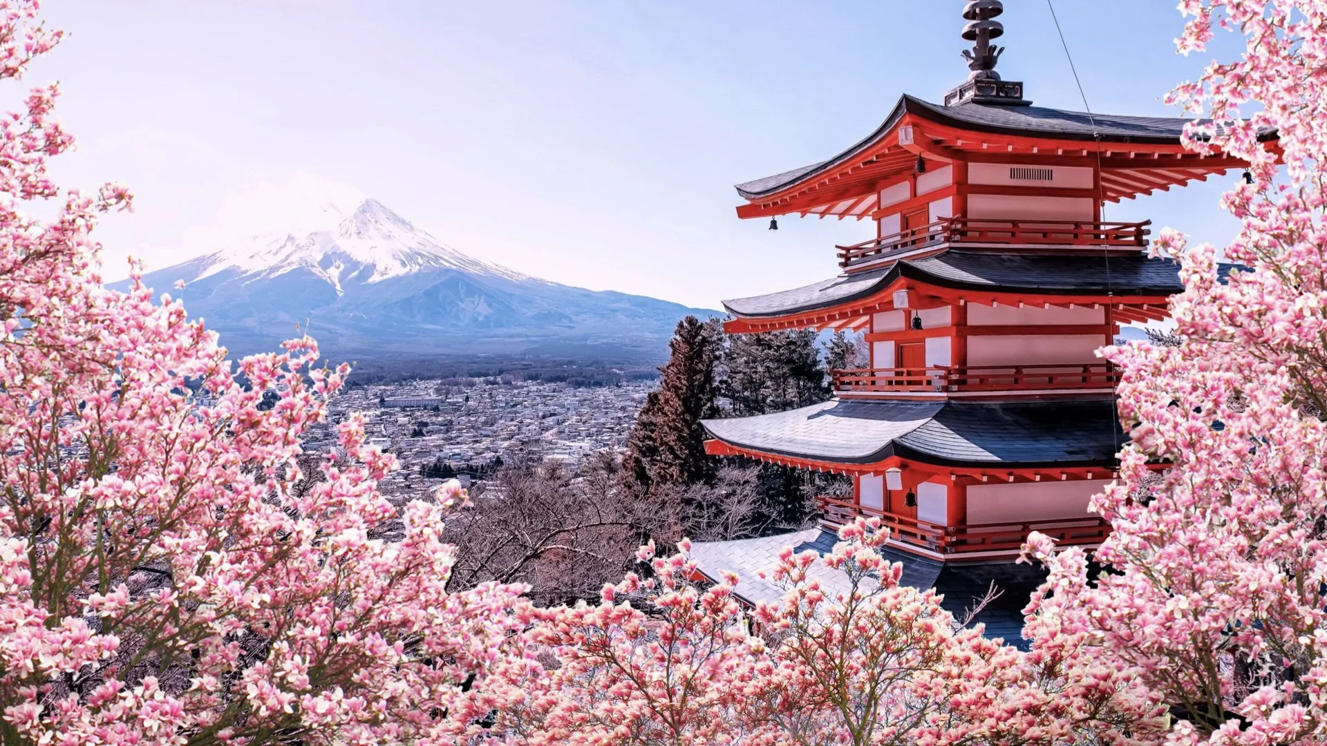 PPP 2026 Padova.065.jpeg