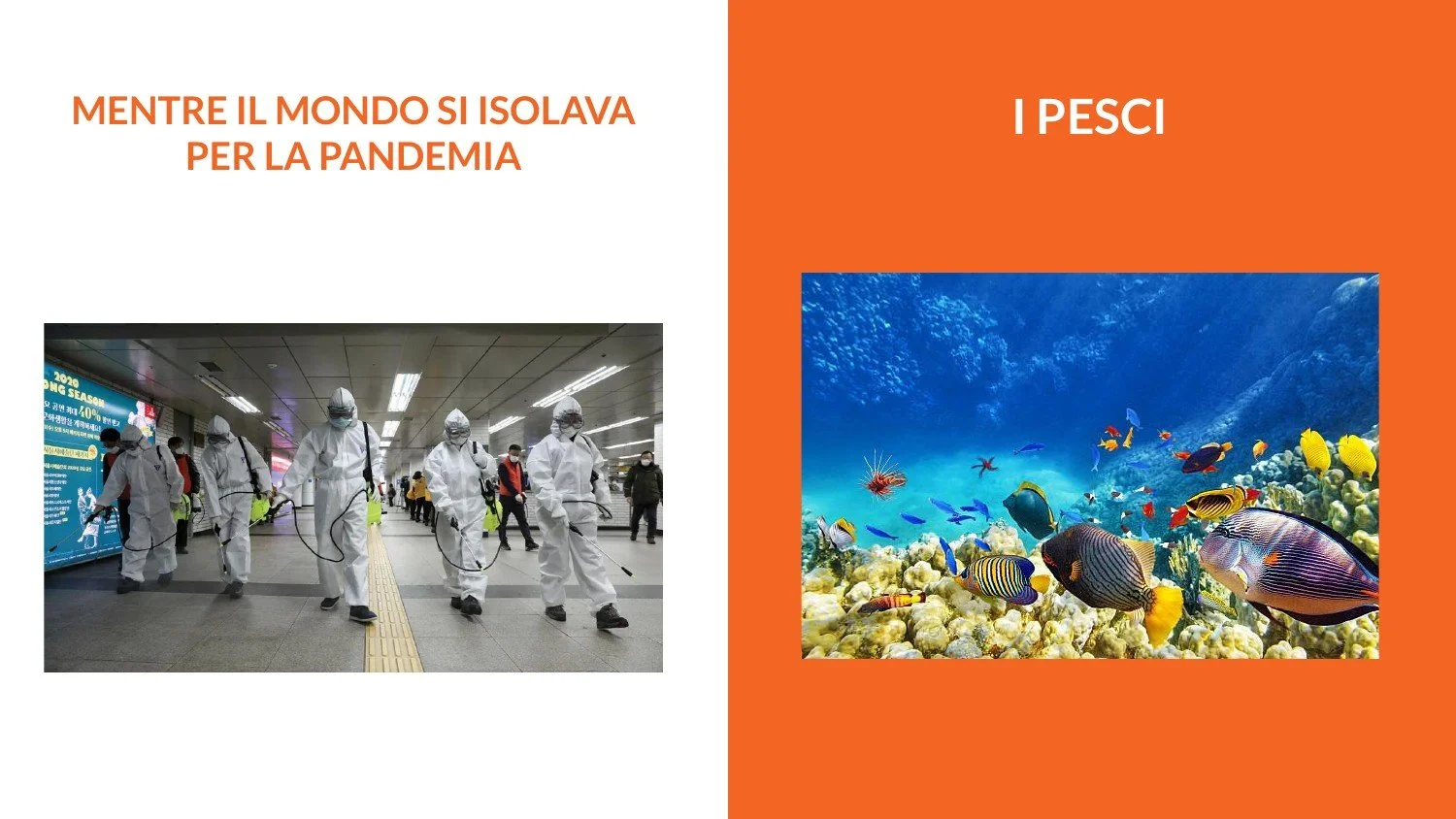 BeComics_Padova_NICK_pag27.jpg