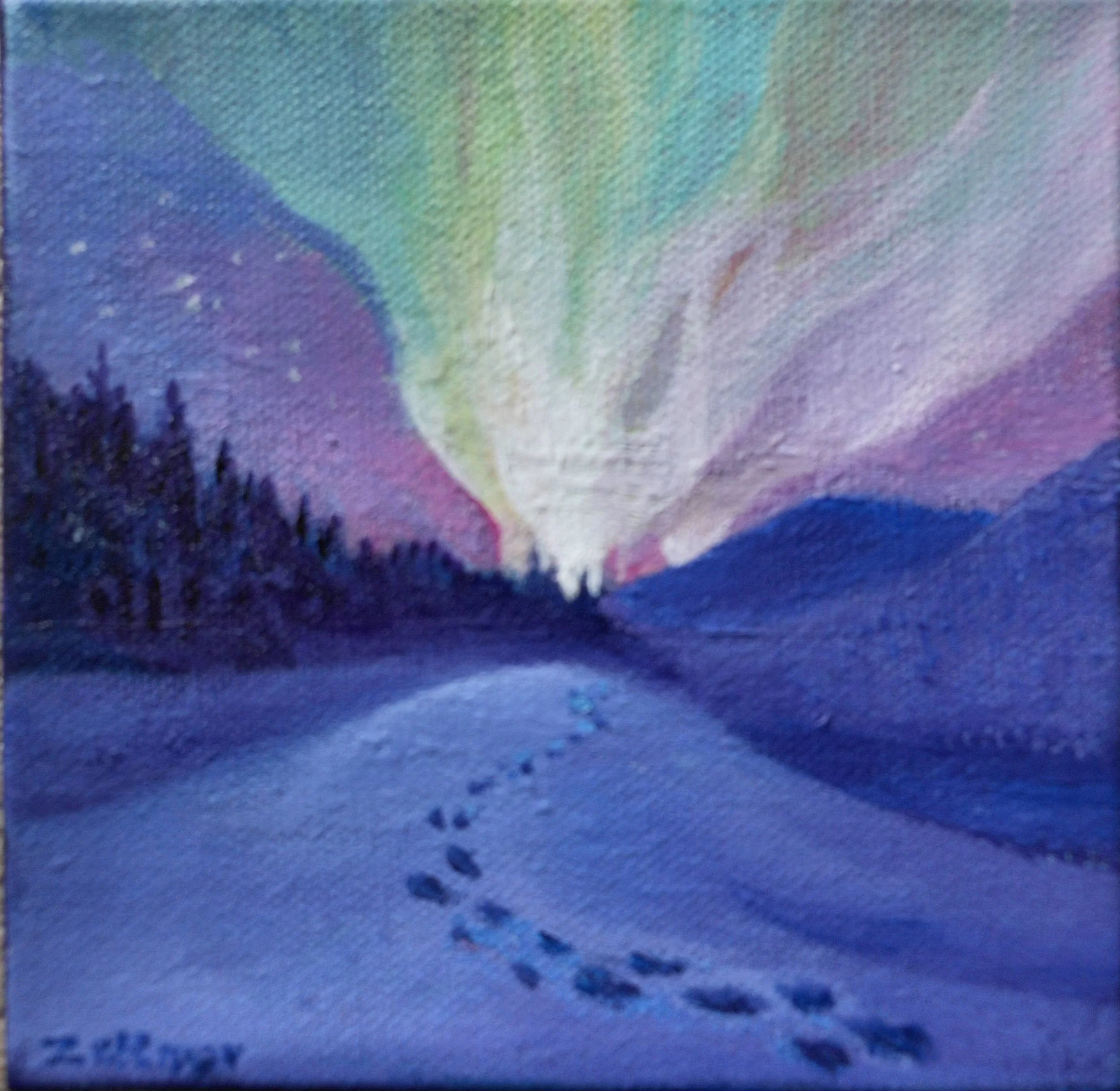 Small Aurora Skies.jpg