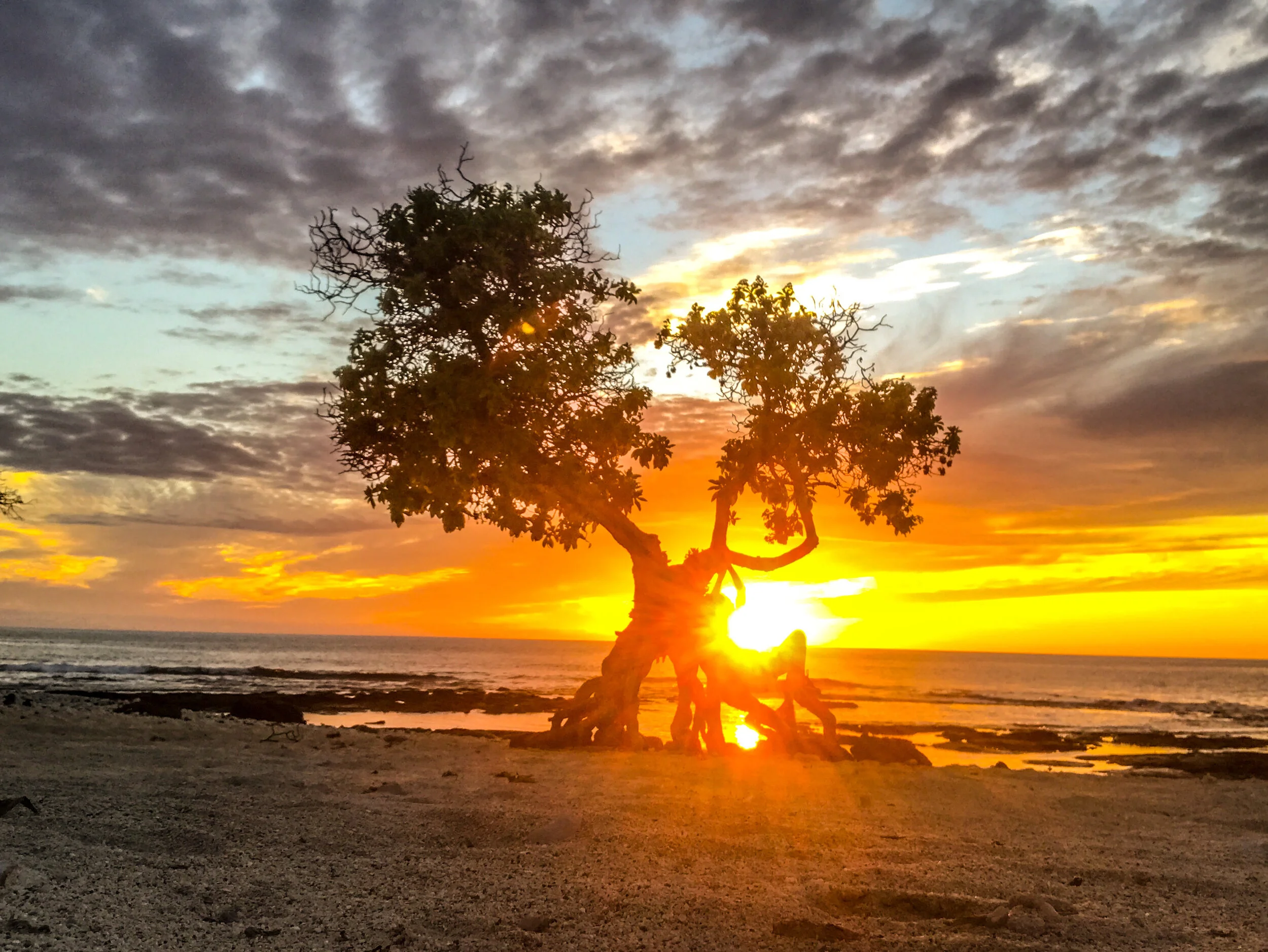 Compassion, Intention and Giving Thanks :::