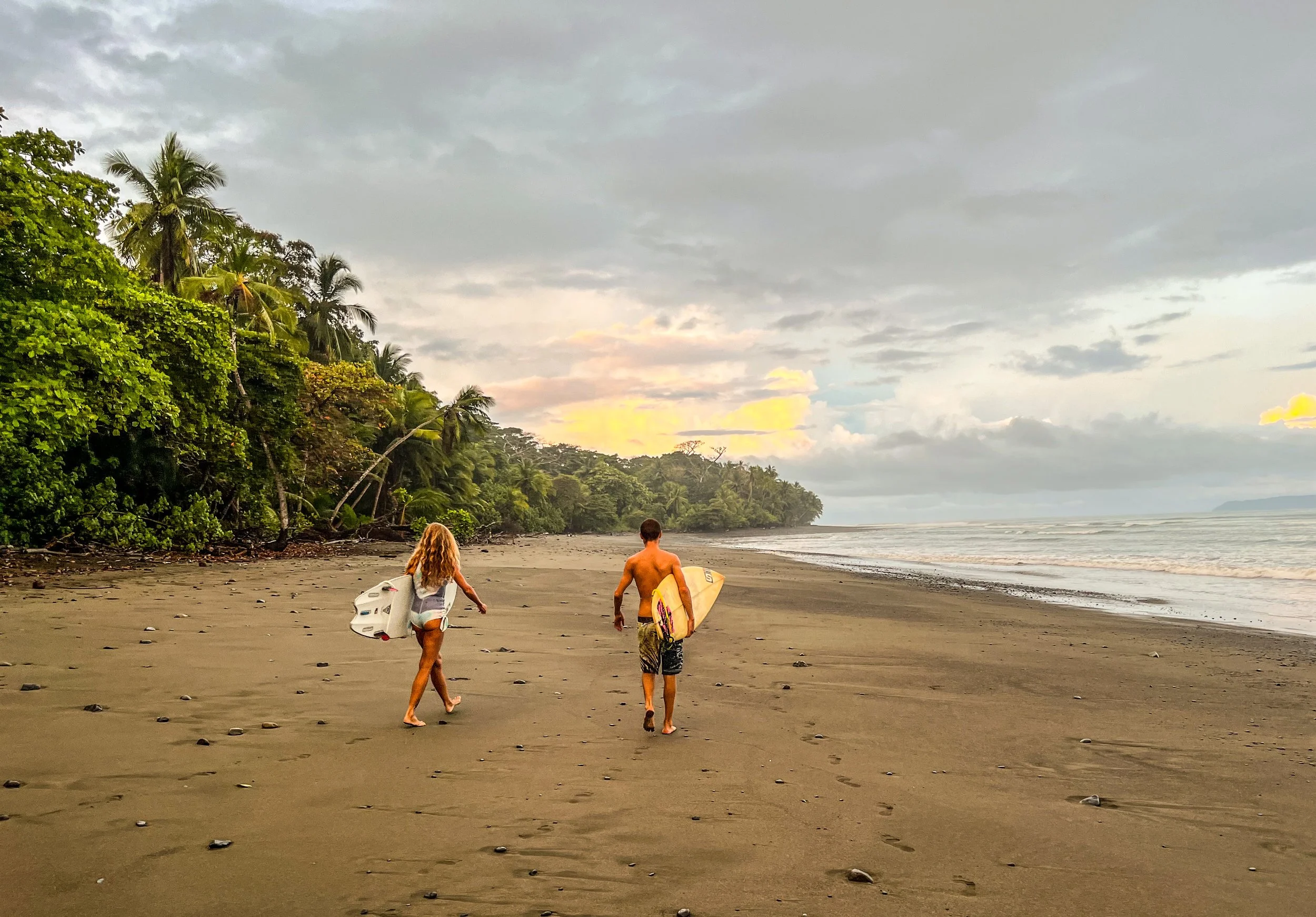 BETTER LATE THAN NEVER ::: Lessons From the Jungle