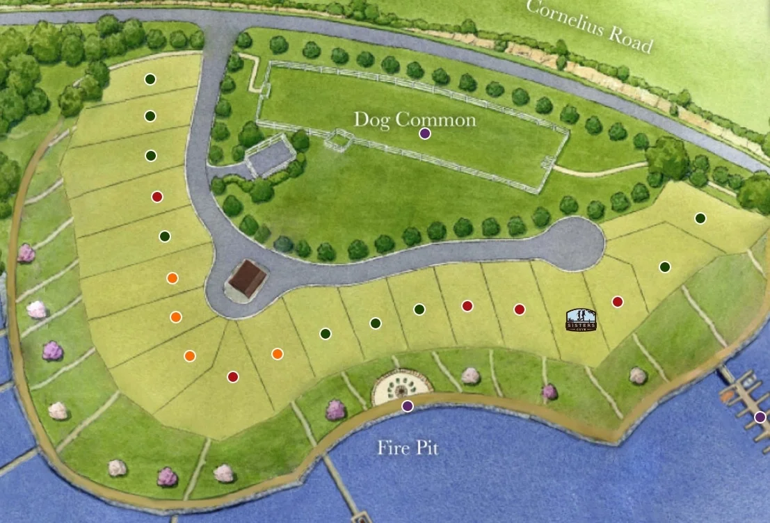 The treatment dispersal area is in the Dog common area in the above picture. More lots on the water plus the septic became a community amenity..