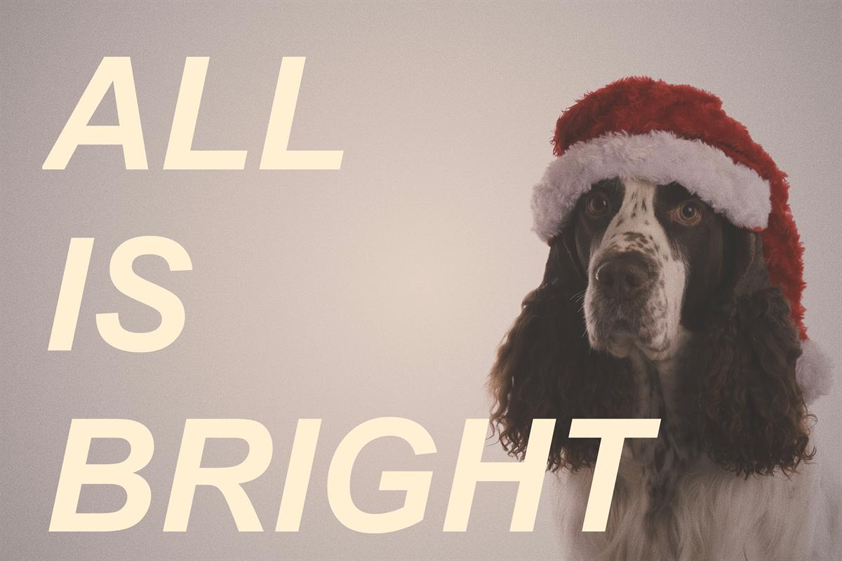 AllIsBright.jpg