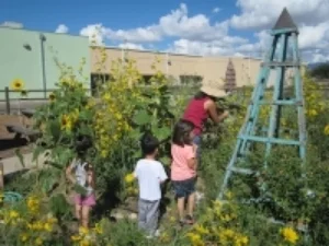 learning garden.jpg