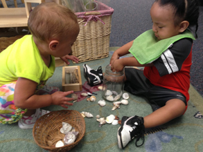  I'Ana and Dallas pour shells into different containers