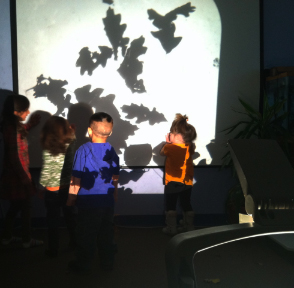 Exploring Fall with the overhead projector