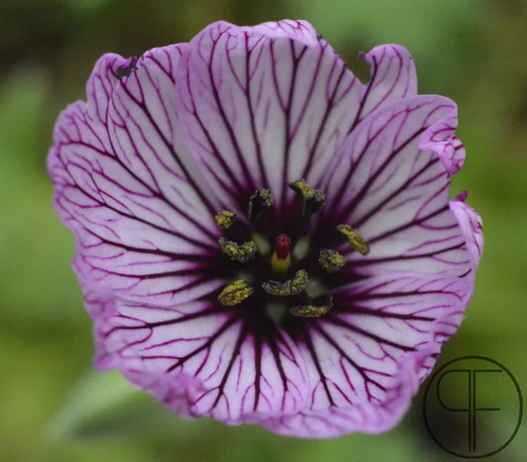2013+09+07_1944_edited-2.jpg