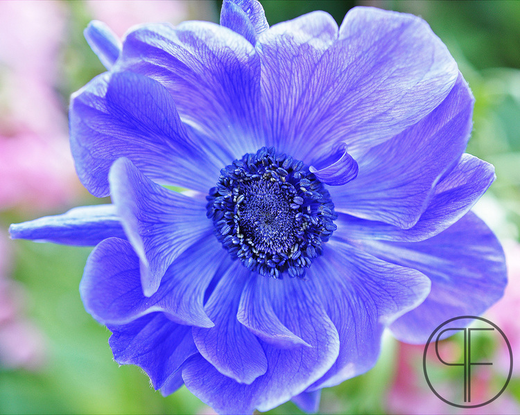 2013+05+17_0391_edited-2WM.jpg