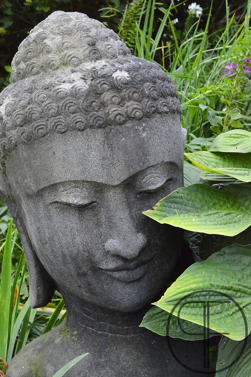 2013+09+07_1653_edited-1WM.jpg