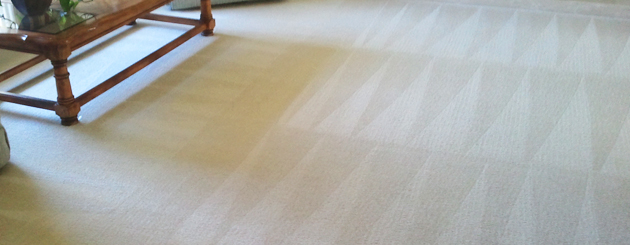 carpet-cleaning2.jpg