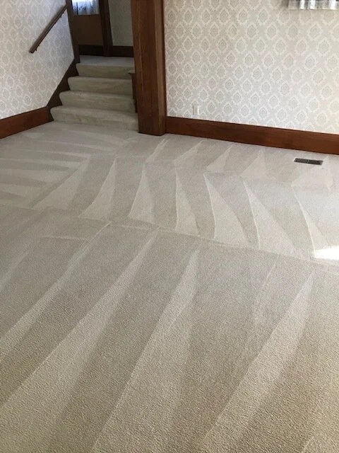 How a Carpet Cleaning Company Can Create A Healthier Indoor Environment 