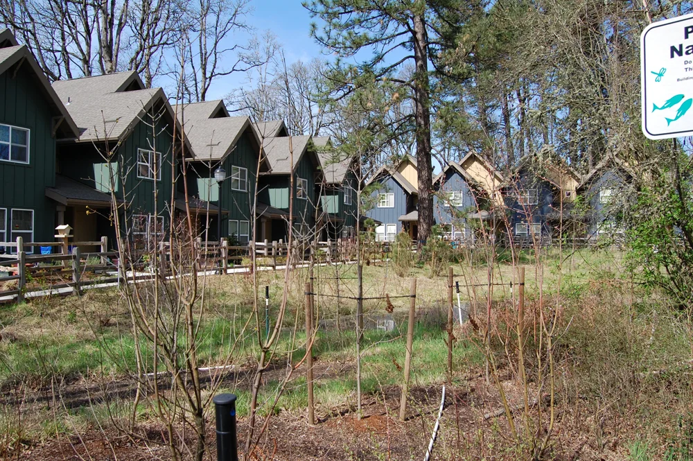 REACH-affordable-housing.jpg