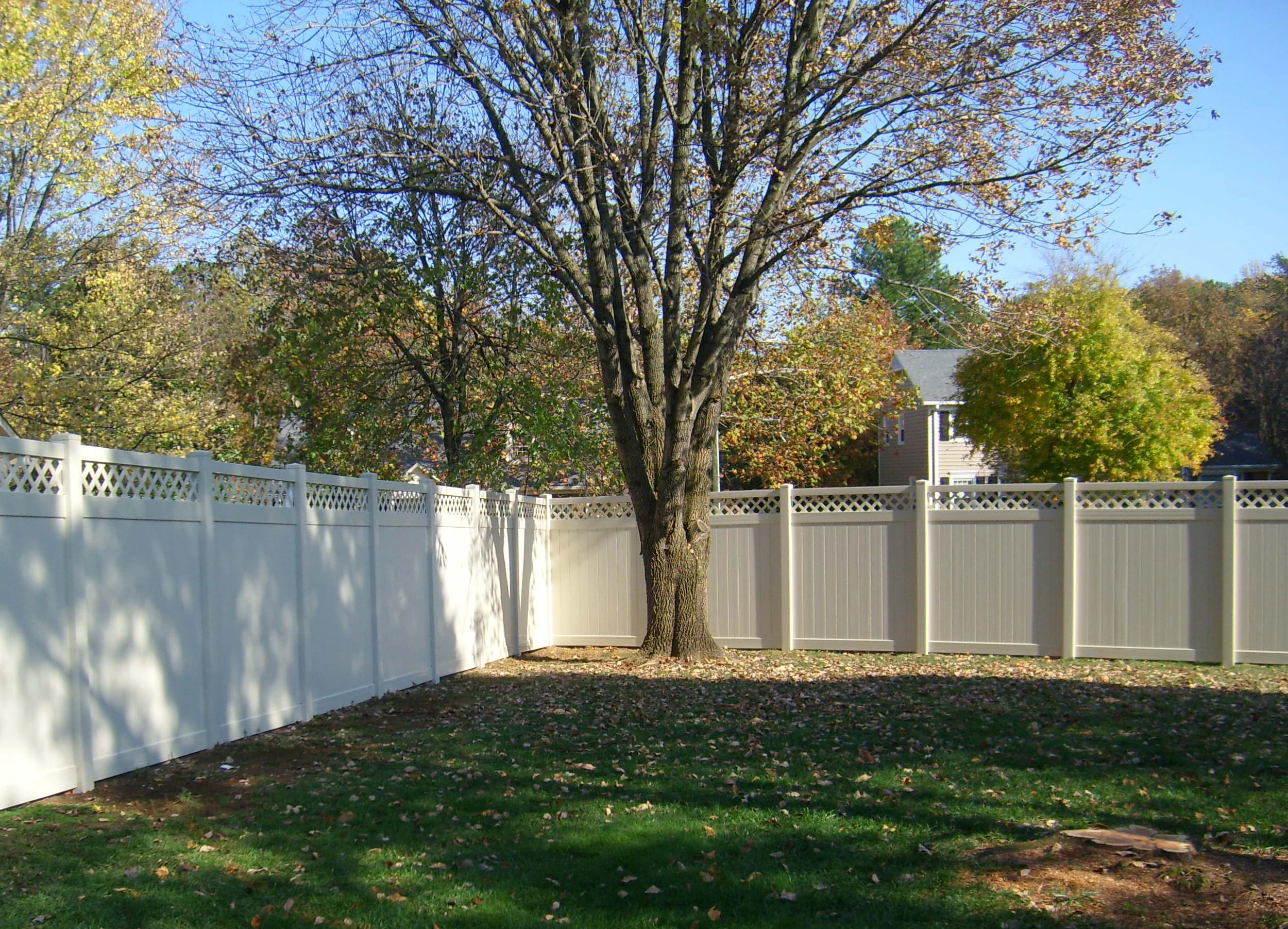 fence4.jpg
