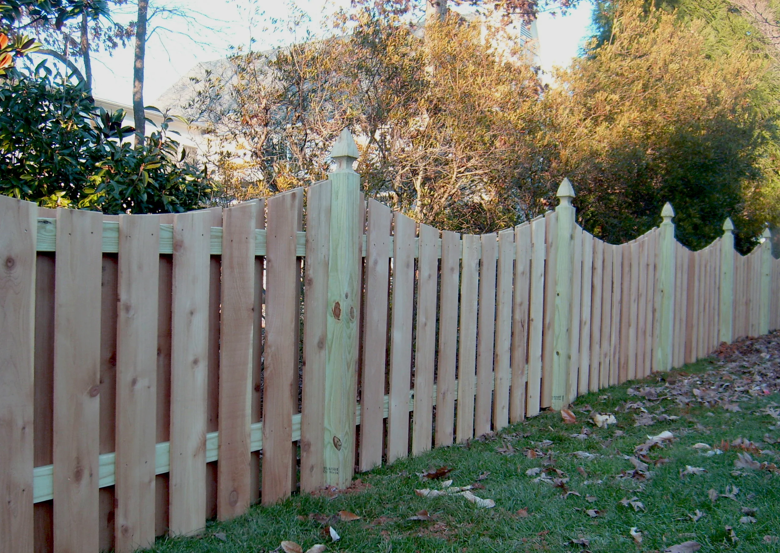 fence6.jpg